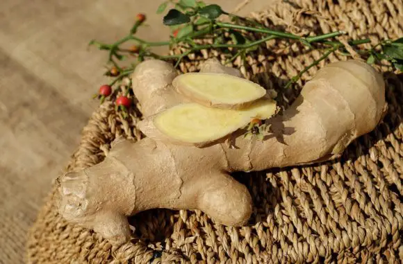 ginger root