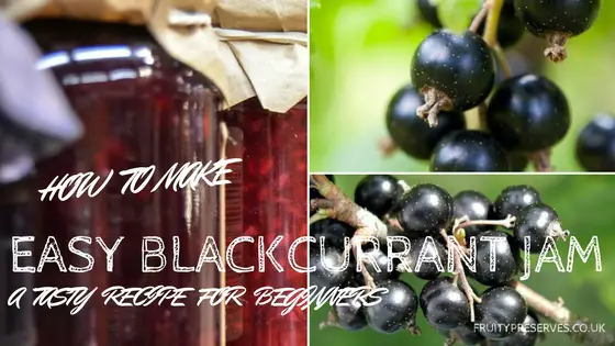 How to Make an Easy Blackcurrant Jam