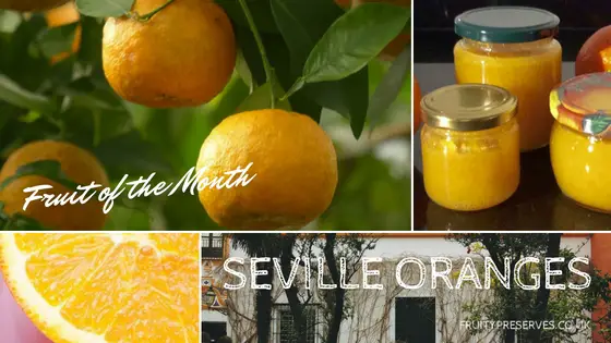 Fruit of the Month - Seville Oranges
