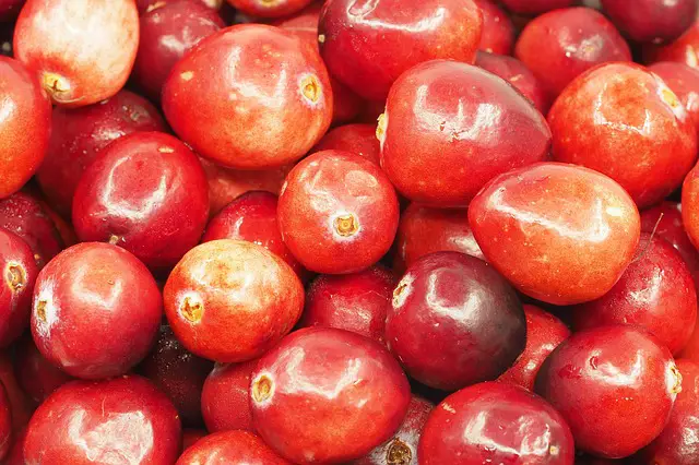 cranberries fresh