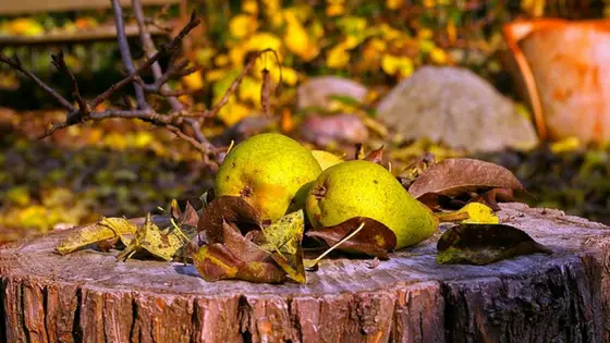 How to Make This Easy Spiced Pear Jam Recipe