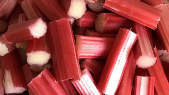 Rhubarb and orange Jam Recipe